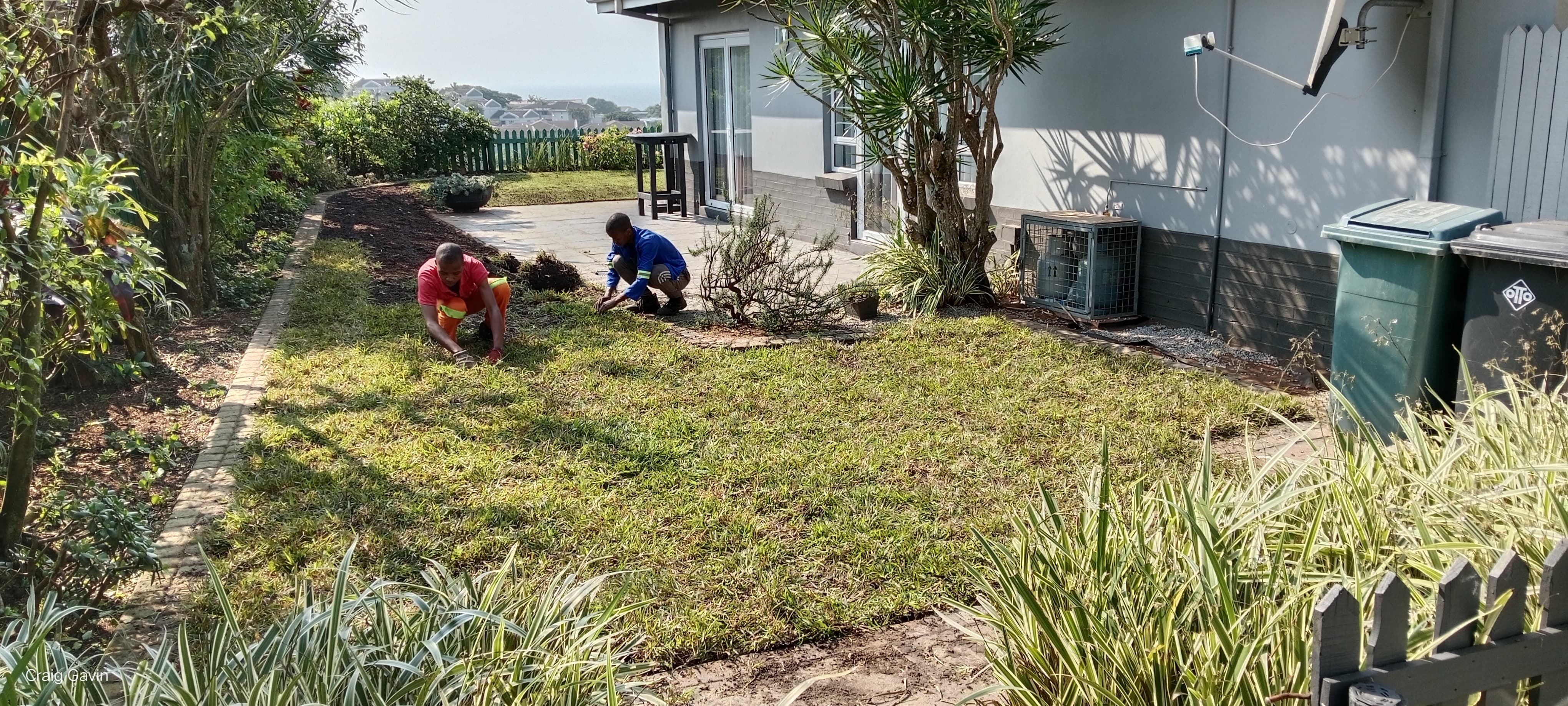 Instant lawn After