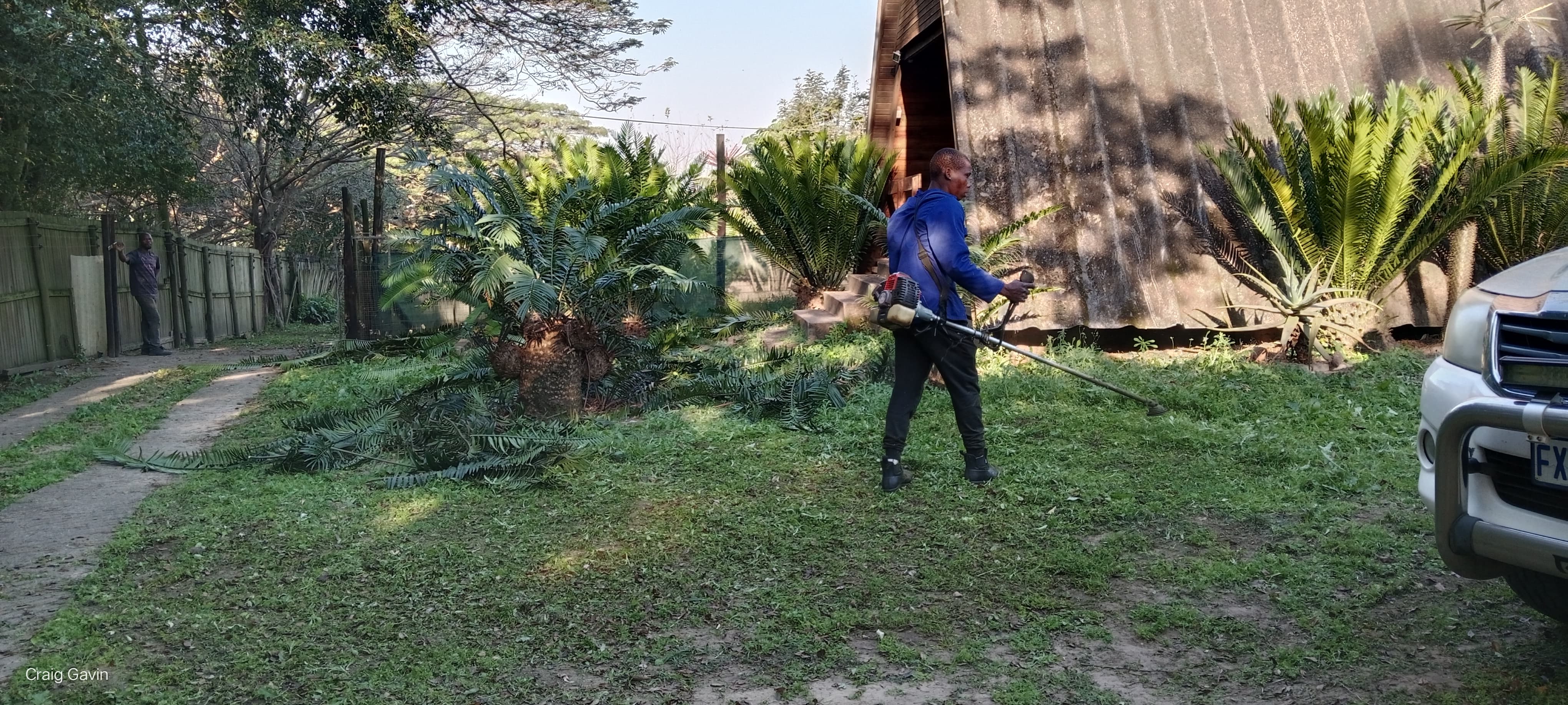 Site clearing and tree work